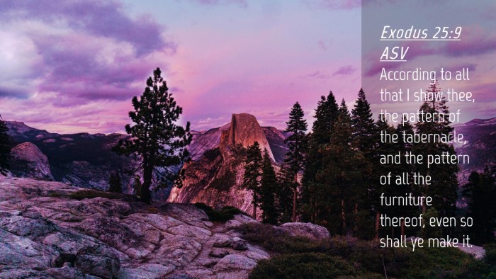 Picture 04 - Exodus 25:9 ASV Desktop Wallpaper - According to all that I show thee, the pattern of - Desktop Bible Verse Wallpaper