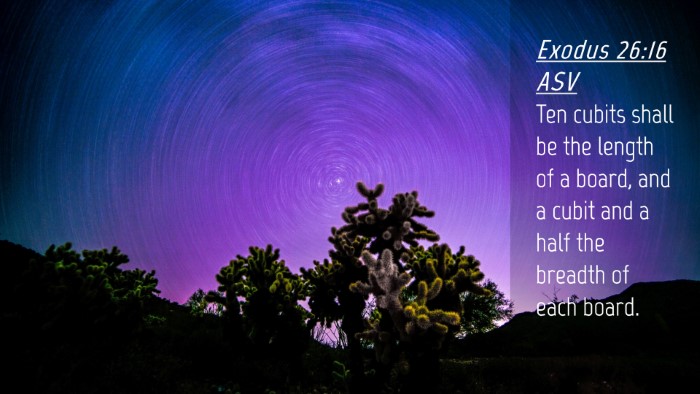 Picture 04 - Exodus 26:16 ASV Desktop Wallpaper - Ten cubits shall be the length of a board, and a - Desktop Bible Verse Wallpaper
