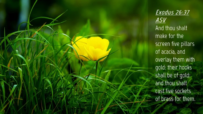 Picture 04 - Exodus 26:37 ASV Desktop Wallpaper - And thou shalt make for the screen five pillars - Desktop Bible Verse Wallpaper