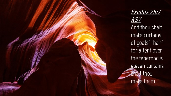 Picture 04 - Exodus 26:7 ASV Desktop Wallpaper - And thou shalt make curtains of goats' `hair' for - Desktop Bible Verse Wallpaper