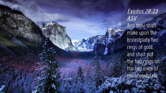 Picture 04 - Exodus 28:23 ASV Desktop Wallpaper - And thou shalt make upon the breastplate two - Desktop Bible Verse Wallpaper