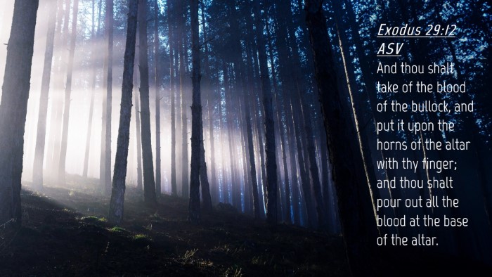 Picture 04 - Exodus 29:12 ASV Desktop Wallpaper - And thou shalt take of the blood of the bullock, - Desktop Bible Verse Wallpaper