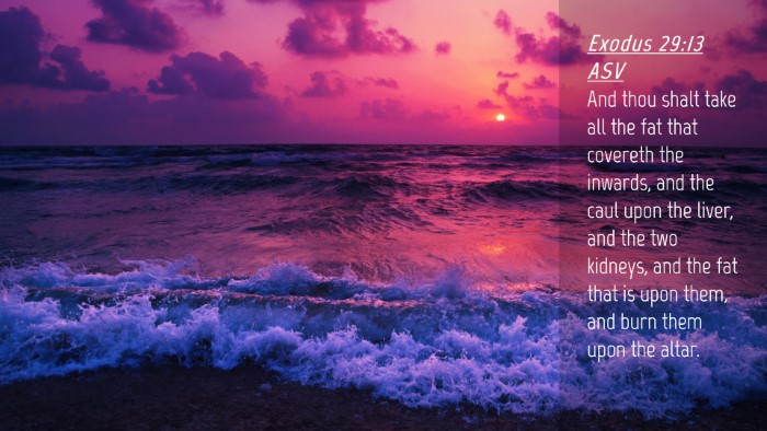 Picture 04 - Exodus 29:13 ASV Desktop Wallpaper - And thou shalt take all the fat that covereth the - Desktop Bible Verse Wallpaper