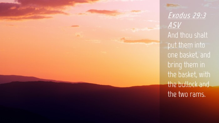 Picture 04 - Exodus 29:3 ASV Desktop Wallpaper - And thou shalt put them into one basket, and - Desktop Bible Verse Wallpaper