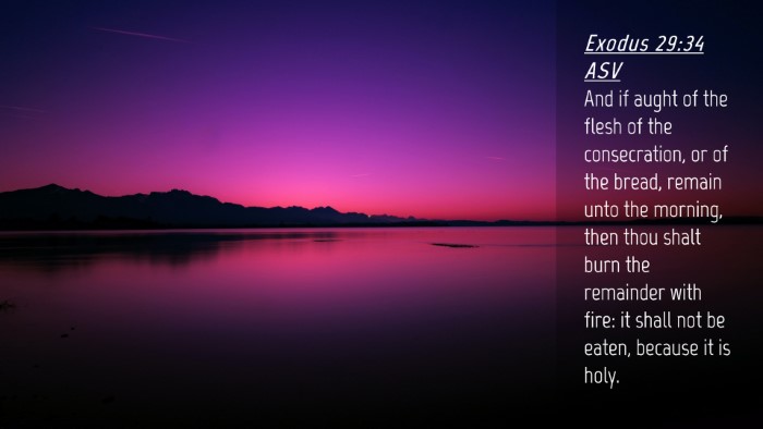 Picture 04 - Exodus 29:34 ASV Desktop Wallpaper - And if aught of the flesh of the consecration, or - Desktop Bible Verse Wallpaper