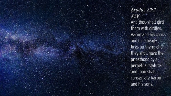 Picture 04 - Exodus 29:9 ASV Desktop Wallpaper - And thou shalt gird them with girdles, Aaron and - Desktop Bible Verse Wallpaper