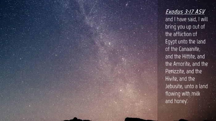 Picture 04 - Exodus 3:17 ASV Desktop Wallpaper - and I have said, I will bring you up out of the - Desktop Bible Verse Wallpaper