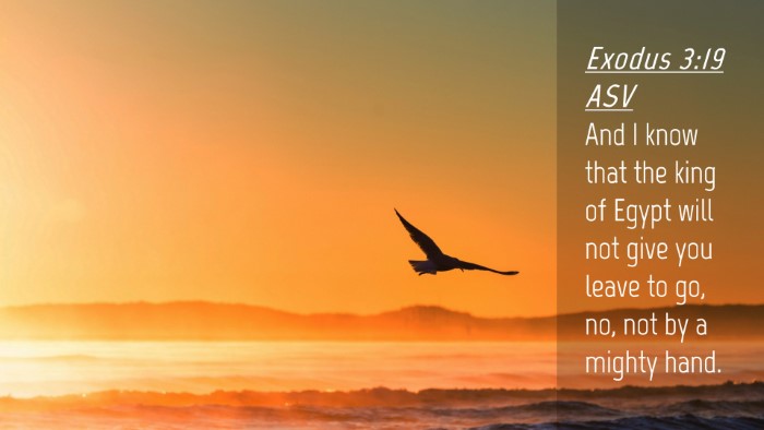 Picture 04 - Exodus 3:19 ASV Desktop Wallpaper - And I know that the king of Egypt will not give - Desktop Bible Verse Wallpaper