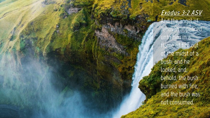 Picture 04 - Exodus 3:2 ASV Desktop Wallpaper - And the angel of Jehovah appeared unto him in a - Desktop Bible Verse Wallpaper
