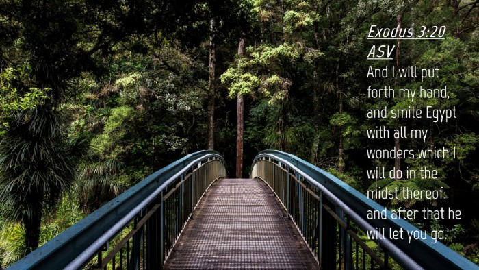 Picture 04 - Exodus 3:20 ASV Desktop Wallpaper - And I will put forth my hand, and smite Egypt - Desktop Bible Verse Wallpaper