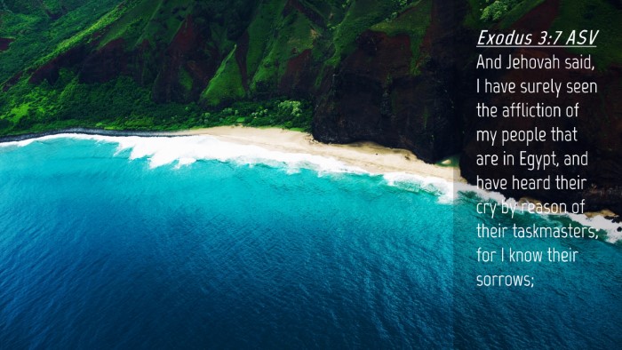 Picture 04 - Exodus 3:7 ASV Desktop Wallpaper - And Jehovah said, I have surely seen the - Desktop Bible Verse Wallpaper