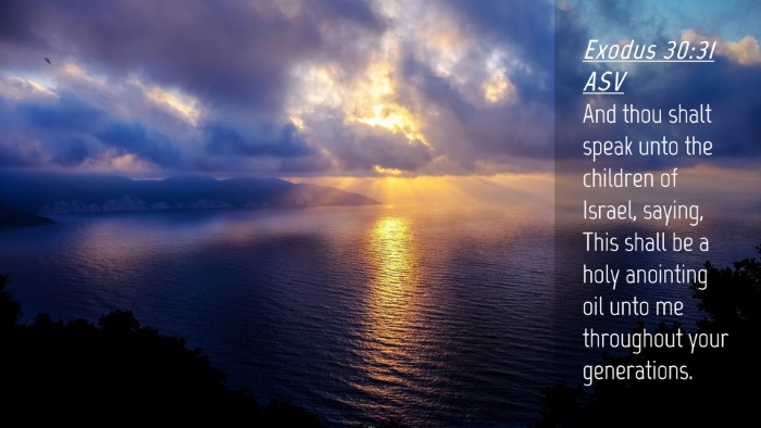 Picture 04 - Exodus 30:31 ASV Desktop Wallpaper - And thou shalt speak unto the children of Israel, - Desktop Bible Verse Wallpaper