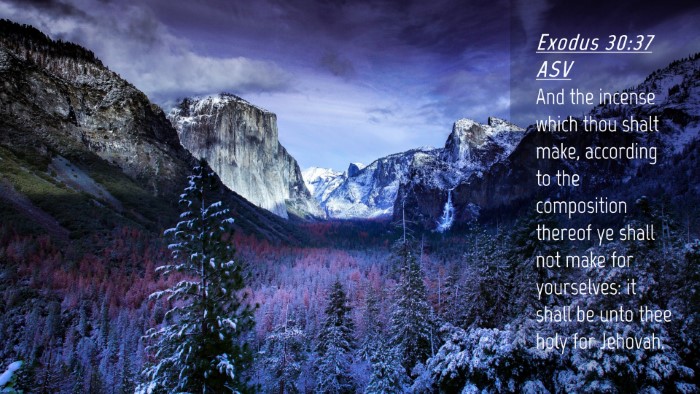 Picture 04 - Exodus 30:37 ASV Desktop Wallpaper - And the incense which thou shalt make, according - Desktop Bible Verse Wallpaper