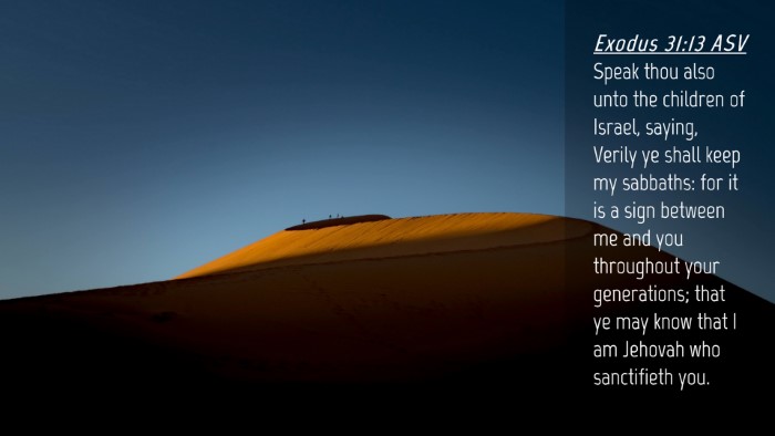 Picture 04 - Exodus 31:13 ASV Desktop Wallpaper - Speak thou also unto the children of Israel, - Desktop Bible Verse Wallpaper