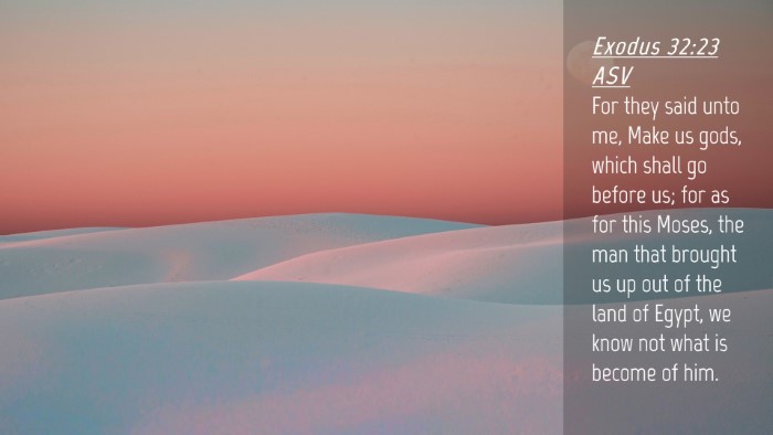 Picture 04 - Exodus 32:23 ASV Desktop Wallpaper - For they said unto me, Make us gods, which shall - Desktop Bible Verse Wallpaper