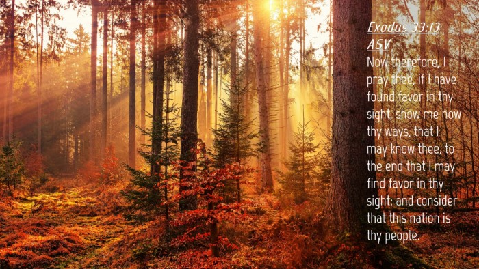 Picture 04 - Exodus 33:13 ASV Desktop Wallpaper - Now therefore, I pray thee, if I have found favor - Desktop Bible Verse Wallpaper