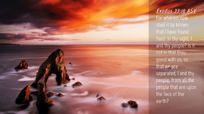 Picture 04 - Exodus 33:16 ASV Desktop Wallpaper - For wherein now shall it be known that I have - Desktop Bible Verse Wallpaper
