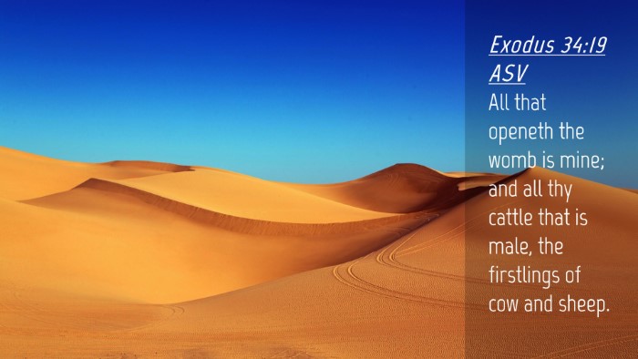 Picture 04 - Exodus 34:19 ASV Desktop Wallpaper - All that openeth the womb is mine; and all thy - Desktop Bible Verse Wallpaper