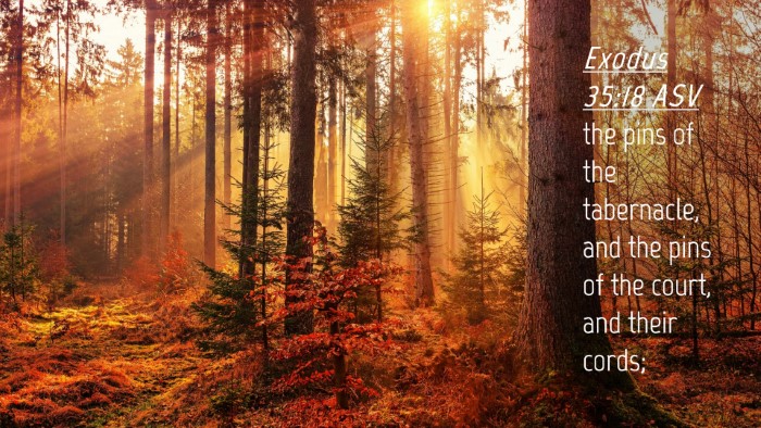 Picture 04 - Exodus 35:18 ASV Desktop Wallpaper - the pins of the tabernacle, and the pins of the - Desktop Bible Verse Wallpaper