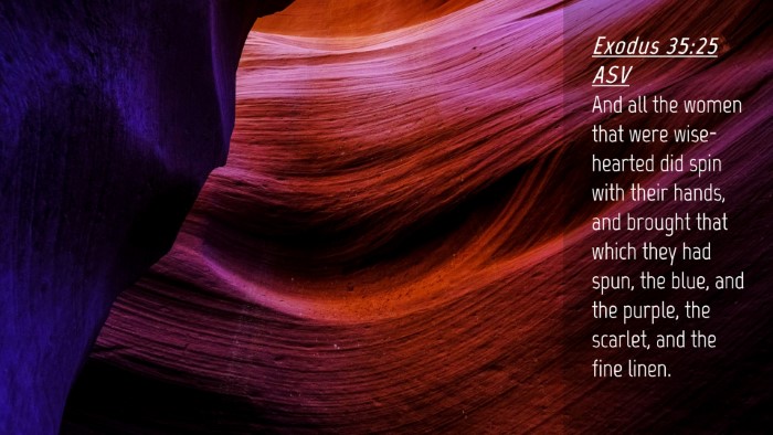 Picture 04 - Exodus 35:25 ASV Desktop Wallpaper - And all the women that were wise-hearted did spin - Desktop Bible Verse Wallpaper