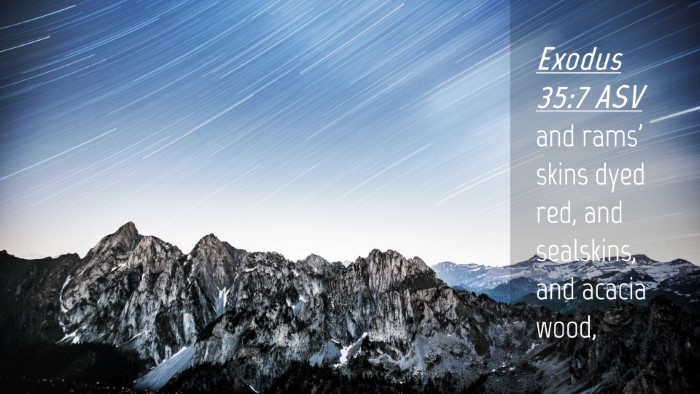 Picture 04 - Exodus 35:7 ASV Desktop Wallpaper - and rams' skins dyed red, and sealskins, and - Desktop Bible Verse Wallpaper