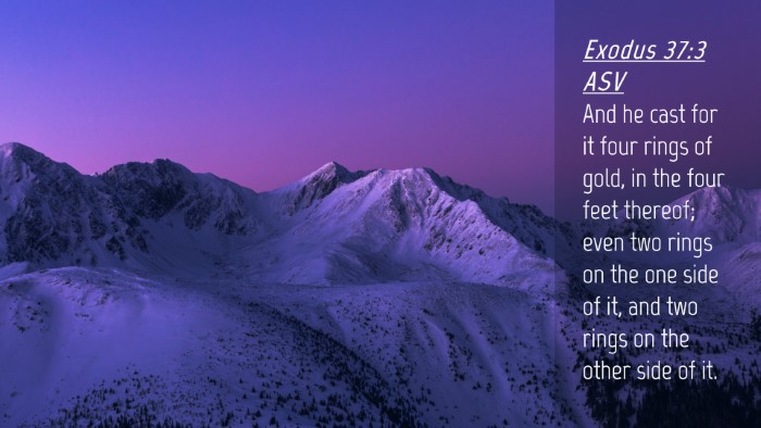 Picture 04 - Exodus 37:3 ASV Desktop Wallpaper - And he cast for it four rings of gold, in the - Desktop Bible Verse Wallpaper