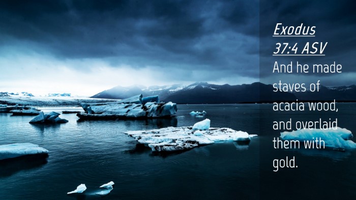 Picture 04 - Exodus 37:4 ASV Desktop Wallpaper - And he made staves of acacia wood, and overlaid - Desktop Bible Verse Wallpaper