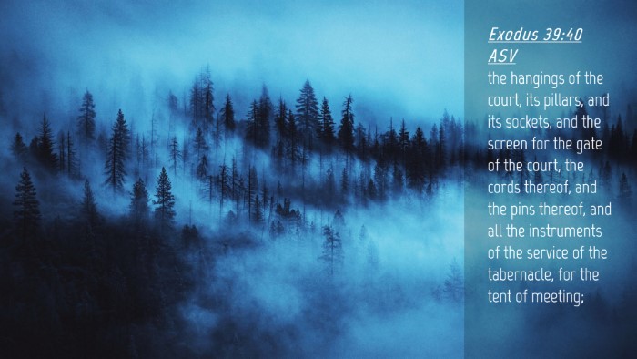 Picture 04 - Exodus 39:40 ASV Desktop Wallpaper - the hangings of the court, its pillars, and its - Desktop Bible Verse Wallpaper