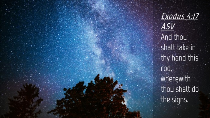 Picture 04 - Exodus 4:17 ASV Desktop Wallpaper - And thou shalt take in thy hand this rod, - Desktop Bible Verse Wallpaper