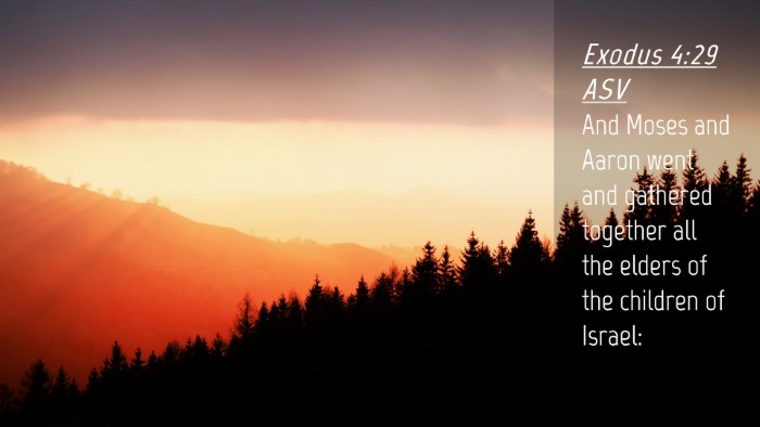 Picture 04 - Exodus 4:29 ASV Desktop Wallpaper - And Moses and Aaron went and gathered together - Desktop Bible Verse Wallpaper