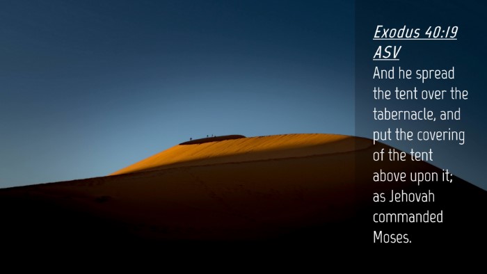 Picture 04 - Exodus 40:19 ASV Desktop Wallpaper - And he spread the tent over the tabernacle, and - Desktop Bible Verse Wallpaper