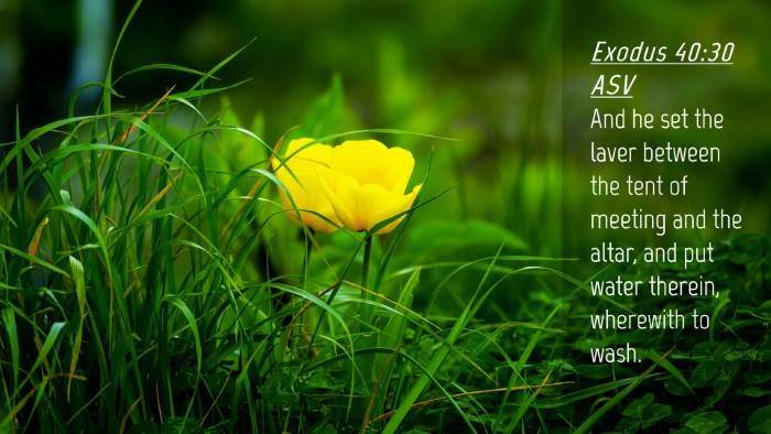 Picture 04 - Exodus 40:30 ASV Desktop Wallpaper - And he set the laver between the tent of meeting - Desktop Bible Verse Wallpaper