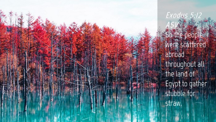 Picture 04 - Exodus 5:12 ASV Desktop Wallpaper - So the people were scattered abroad throughout - Desktop Bible Verse Wallpaper