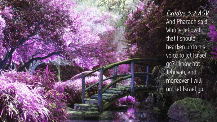 Picture 04 - Exodus 5:2 ASV Desktop Wallpaper - And Pharaoh said, Who is Jehovah, that I should - Desktop Bible Verse Wallpaper
