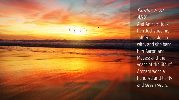 Picture 04 - Exodus 6:20 ASV Desktop Wallpaper - And Amram took him Jochebed his father's sister - Desktop Bible Verse Wallpaper