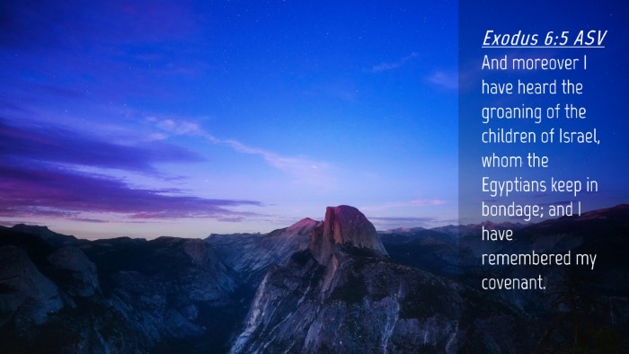 Picture 04 - Exodus 6:5 ASV Desktop Wallpaper - And moreover I have heard the groaning of the - Desktop Bible Verse Wallpaper