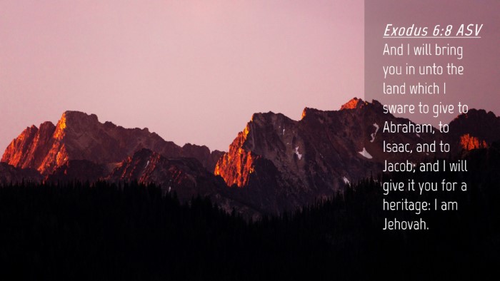 Picture 04 - Exodus 6:8 ASV Desktop Wallpaper - And I will bring you in unto the land which I - Desktop Bible Verse Wallpaper