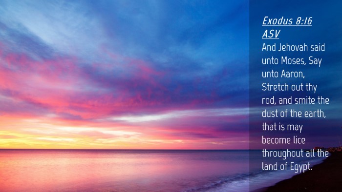 Picture 04 - Exodus 8:16 ASV Desktop Wallpaper - And Jehovah said unto Moses, Say unto Aaron, - Desktop Bible Verse Wallpaper