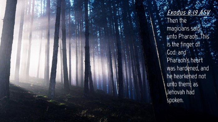Picture 04 - Exodus 8:19 ASV Desktop Wallpaper - Then the magicians said unto Pharaoh, This is the - Desktop Bible Verse Wallpaper