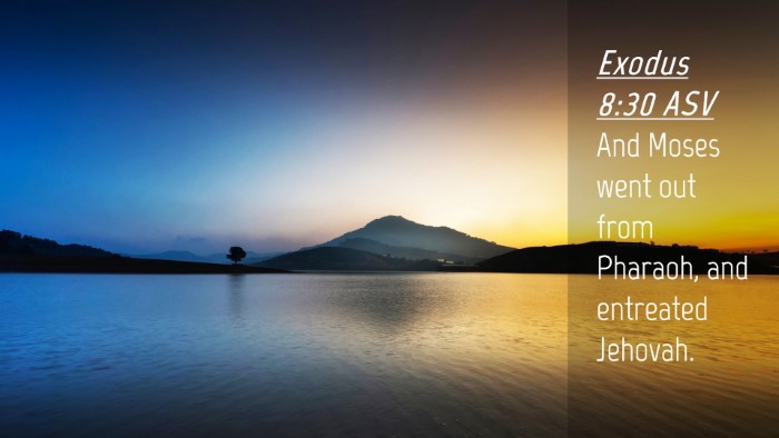 Picture 04 - Exodus 8:30 ASV Desktop Wallpaper - And Moses went out from Pharaoh, and entreated - Desktop Bible Verse Wallpaper