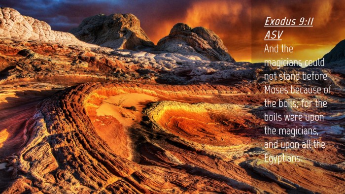 Picture 04 - Exodus 9:11 ASV Desktop Wallpaper - And the magicians could not stand before Moses - Desktop Bible Verse Wallpaper