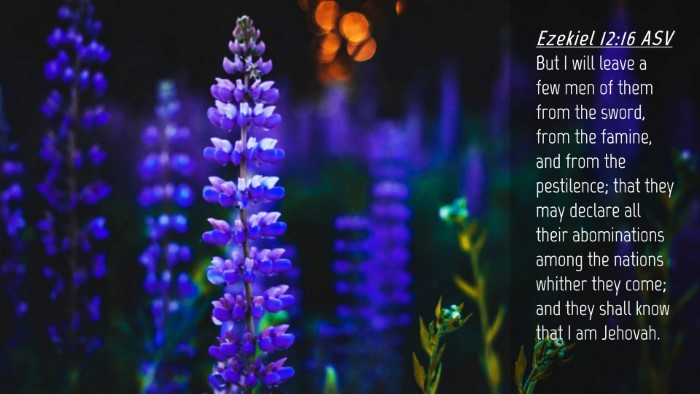 Picture 04 - Ezekiel 12:16 ASV Desktop Wallpaper - But I will leave a few men of them from the - Desktop Bible Verse Wallpaper