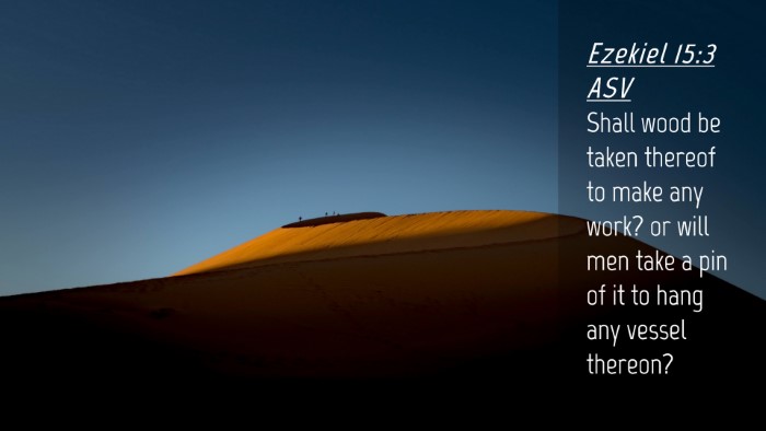 Picture 04 - Ezekiel 15:3 ASV Desktop Wallpaper - Shall wood be taken thereof to make any work? or - Desktop Bible Verse Wallpaper