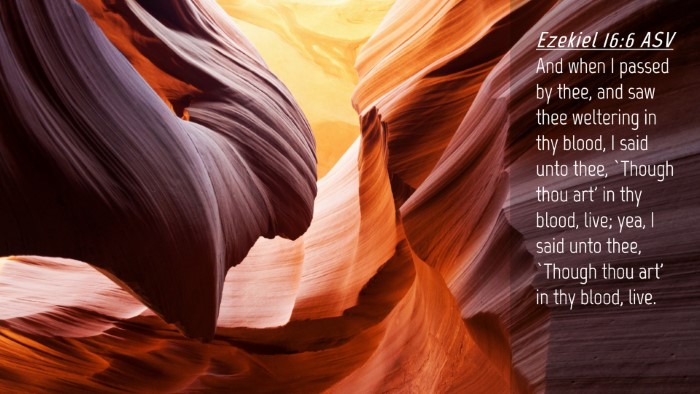 Picture 04 - Ezekiel 16:6 ASV Desktop Wallpaper - And when I passed by thee, and saw thee weltering - Desktop Bible Verse Wallpaper