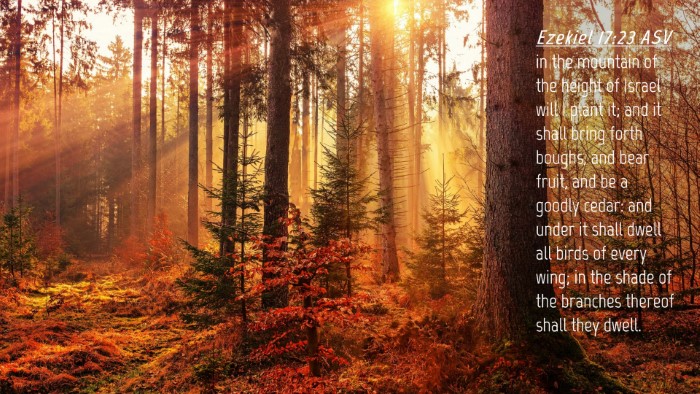 Picture 04 - Ezekiel 17:23 ASV Desktop Wallpaper - in the mountain of the height of Israel will I - Desktop Bible Verse Wallpaper