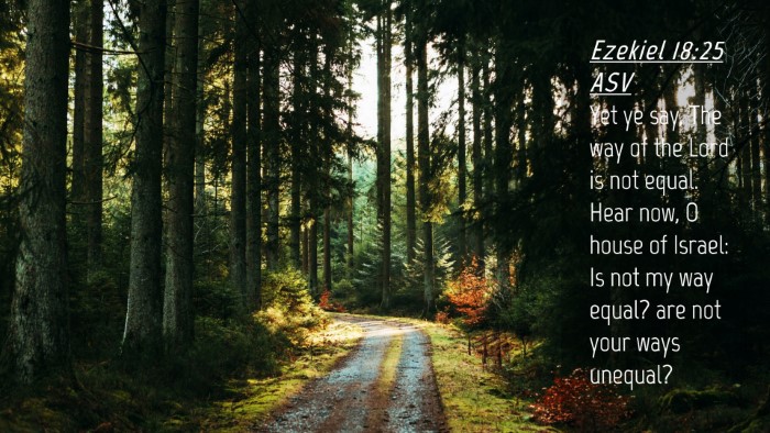 Picture 04 - Ezekiel 18:25 ASV Desktop Wallpaper - Yet ye say, The way of the Lord is not equal. - Desktop Bible Verse Wallpaper