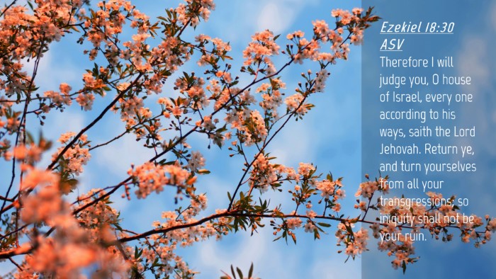Picture 04 - Ezekiel 18:30 ASV Desktop Wallpaper - Therefore I will judge you, O house of Israel, - Desktop Bible Verse Wallpaper