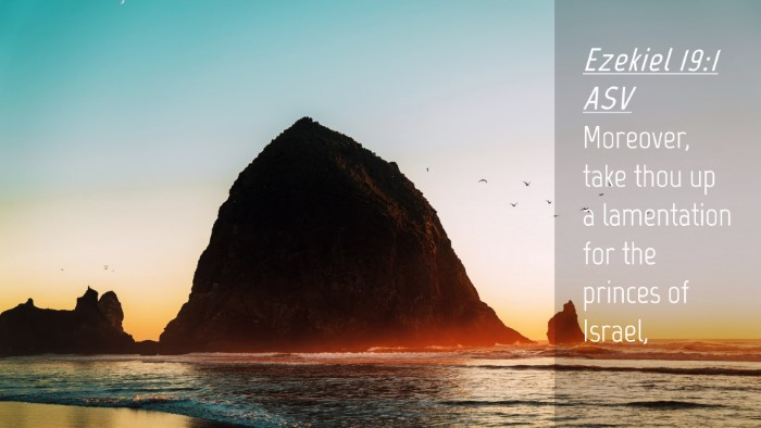 Picture 04 - Ezekiel 19:1 ASV Desktop Wallpaper - Moreover, take thou up a lamentation for the - Desktop Bible Verse Wallpaper