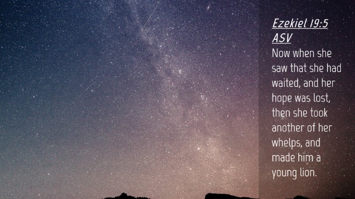 Picture 04 - Ezekiel 19:5 ASV Desktop Wallpaper - Now when she saw that she had waited, and her - Desktop Bible Verse Wallpaper