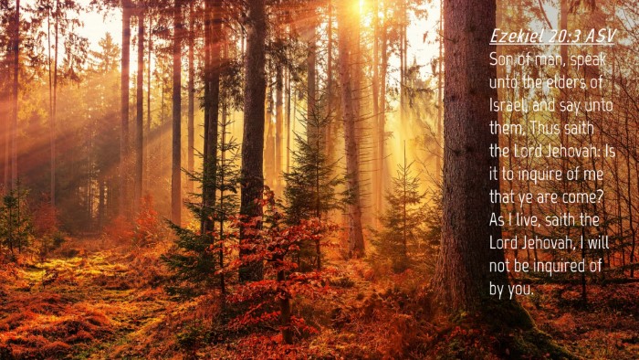 Picture 04 - Ezekiel 20:3 ASV Desktop Wallpaper - Son of man, speak unto the elders of Israel, and - Desktop Bible Verse Wallpaper